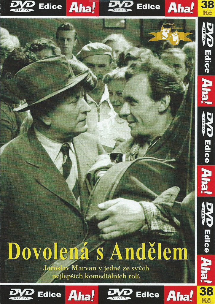 DVD Dovolená s Andělem
