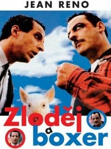 DVD Zloděj a boxer